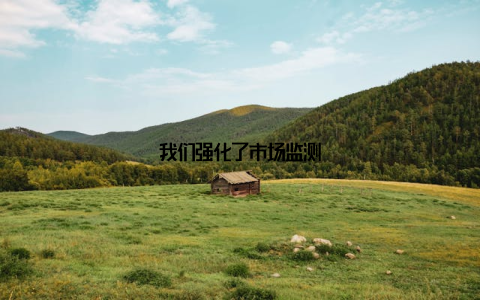 我们强化了市场监测