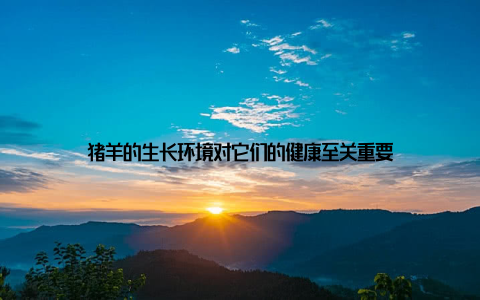 猪羊的生长环境对它们的健康至关重要