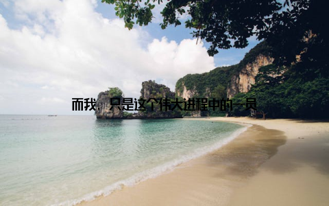 而我, 只是这个伟大进程中的一员