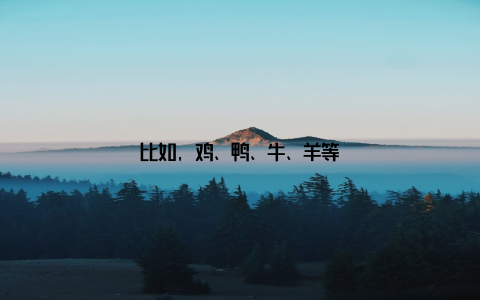比如, 鸡、鸭、牛、羊等