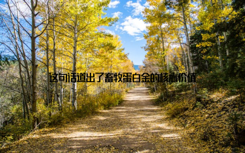 这句话道出了畜牧蛋白金的核心价值