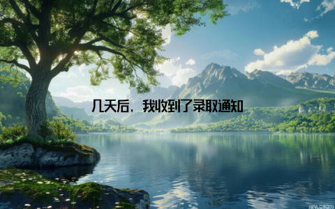 几天后, 我收到了录取通知