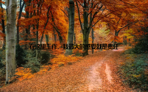在这里工作, 我最大的感受就是责任