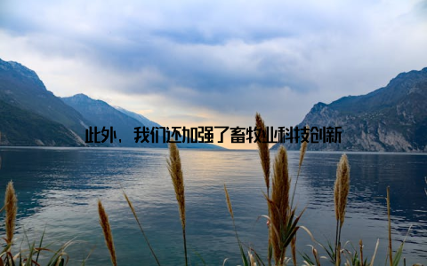 此外, 我们还加强了畜牧业科技创新