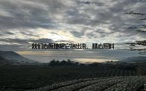 我们心疼地把它抱出来, 精心照料