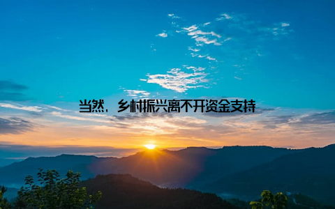 当然, 乡村振兴离不开资金支持