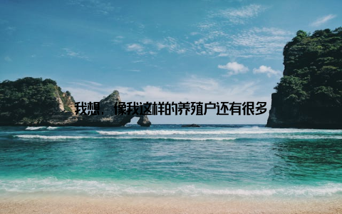 我想, 像我这样的养殖户还有很多