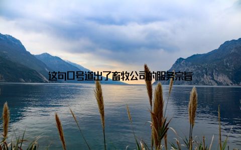这句口号道出了畜牧公司的服务宗旨