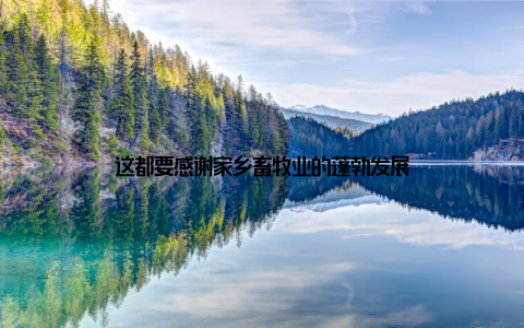 这都要感谢家乡畜牧业的蓬勃发展