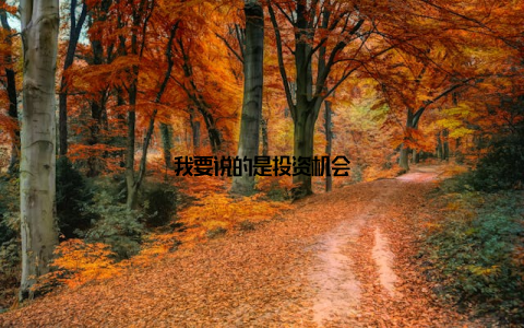我要说的是投资机会