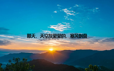 那天, 天空灰蒙蒙的, 寒风刺骨