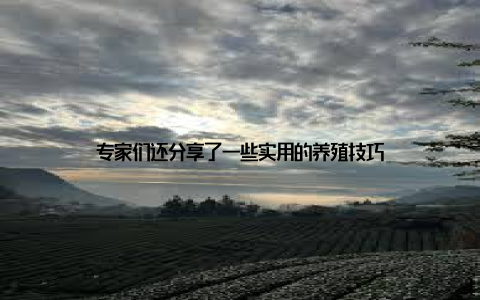 专家们还分享了一些实用的养殖技巧