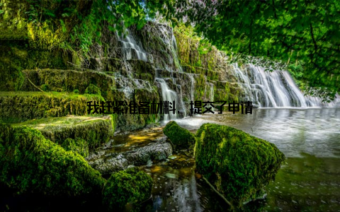 我赶紧准备材料, 提交了申请