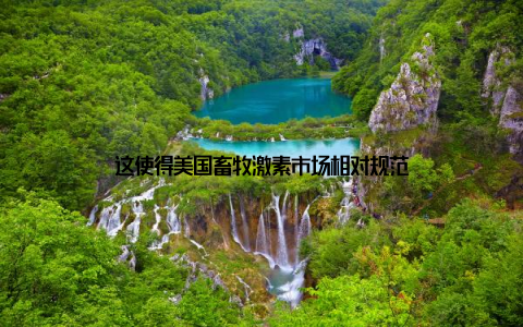 这使得美国畜牧激素市场相对规范