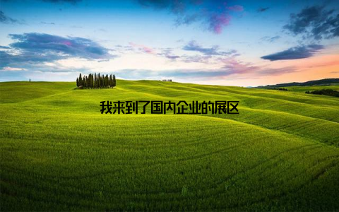 我来到了国内企业的展区