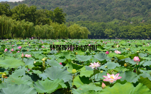 环保养殖技术的推广
