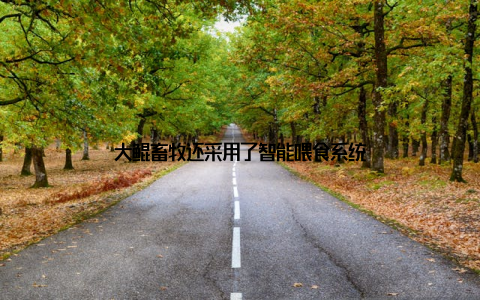大鲲畜牧还采用了智能喂食系统