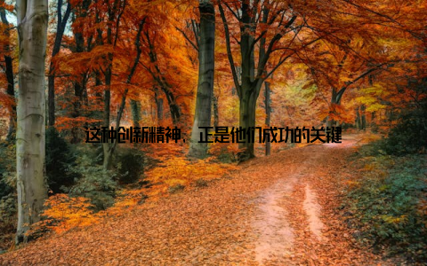 这种创新精神, 正是他们成功的关键