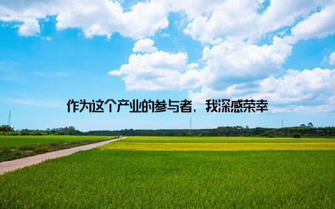 作为这个产业的参与者, 我深感荣幸
