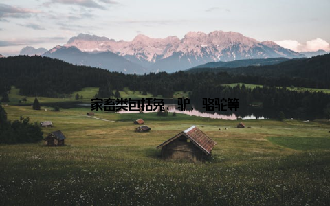 家畜类包括兔、驴、骆驼等