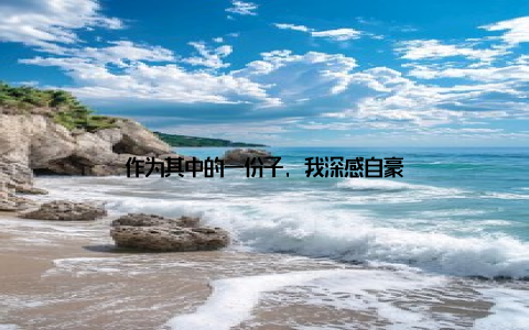 作为其中的一份子, 我深感自豪