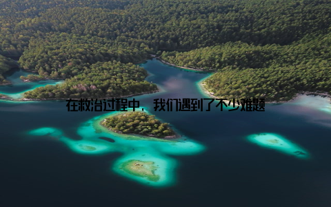 在救治过程中, 我们遇到了不少难题