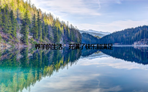 养羊的生活, 充满了快乐和满足