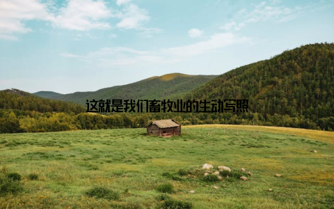 这就是我们畜牧业的生动写照