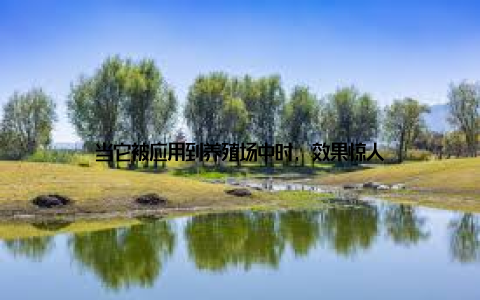 当它被应用到养殖场中时, 效果惊人