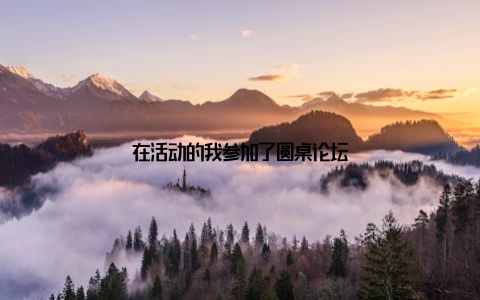 在活动的我参加了圆桌论坛
