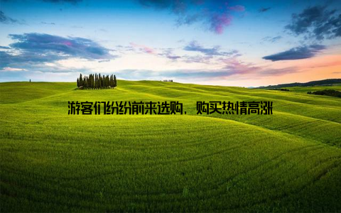 游客们纷纷前来选购, 购买热情高涨