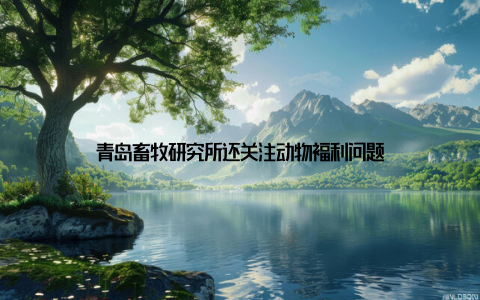 青岛畜牧研究所还关注动物福利问题