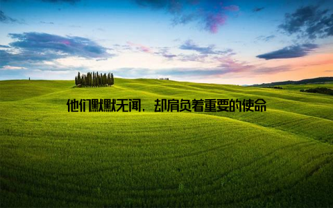 他们默默无闻, 却肩负着重要的使命