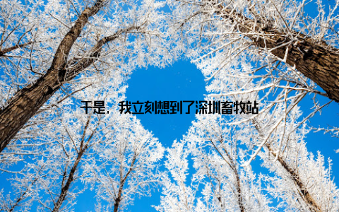 于是, 我立刻想到了深圳畜牧站
