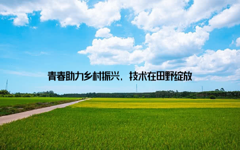 青春助力乡村振兴, 技术在田野绽放
