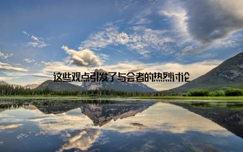 这些观点引发了与会者的热烈讨论