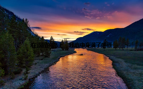 在返程的路上, 我心中充满了感慨