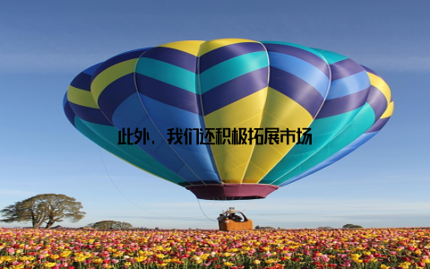 此外, 我们还积极拓展市场