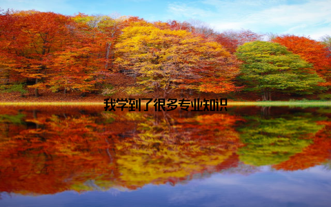 我学到了很多专业知识