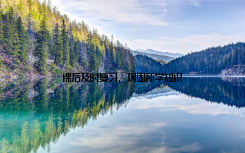 课后及时复习, 巩固所学知识