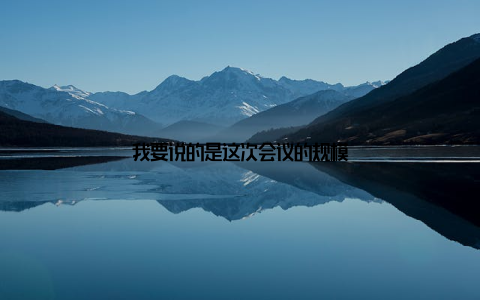 我要说的是这次会议的规模