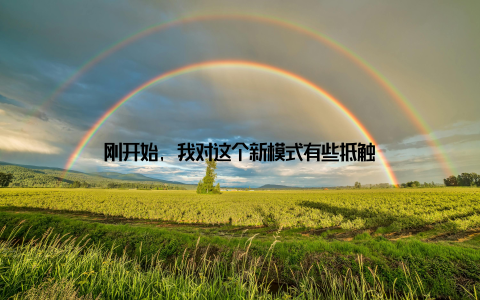 刚开始, 我对这个新模式有些抵触