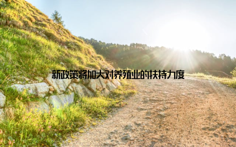 新政策将加大对养殖业的扶持力度