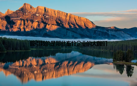 吸引我的是那些畜牧企业的大咖们