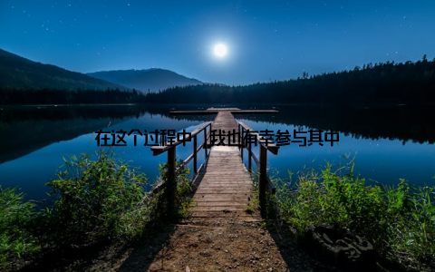 在这个过程中, 我也有幸参与其中