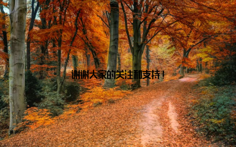谢谢大家的关注和支持!