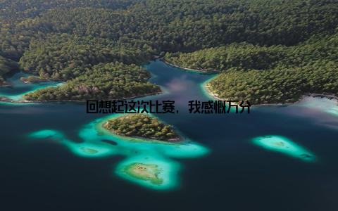 回想起这次比赛, 我感慨万分