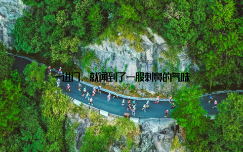 一进门, 就闻到了一股刺鼻的气味