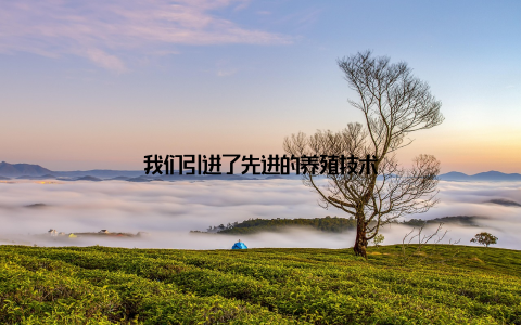 我们引进了先进的养殖技术