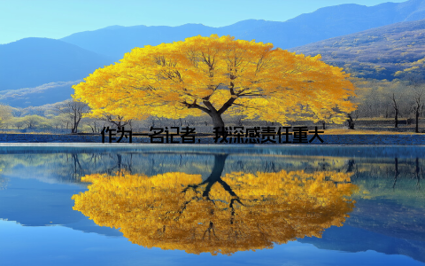 作为一名记者, 我深感责任重大